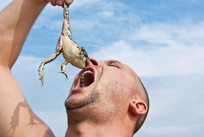 Brug Eat That Frog-metoden til at lære at klare de vigtigste og mest indflydelsesrige opgaver som det første